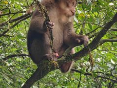 -西岭雪山大飞水景区