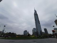 -紫峰大厦