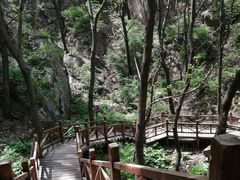 -大岭沟猕猴桃谷风景区