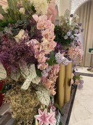 -尊尚柏丽美容SPA