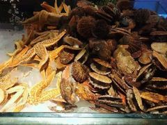 -北京汉斯特自助烤肉(临朐店)