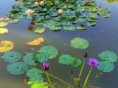 -国家植物园南园