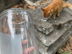 -宝通禅寺