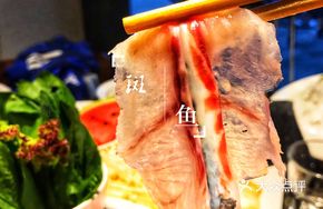 Thin Barracuda Slices