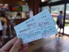 -岚山嵯峨野观光小火车