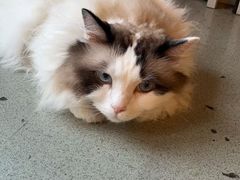 -白兔子密室(长寿路店)