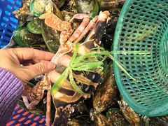 -吴记富苑(朝阳店)