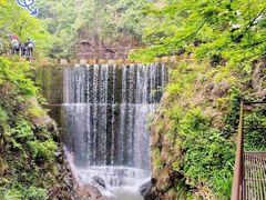 -大奇山国家森林公园