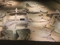 -洛阳周王城天子驾六博物馆