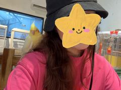 -深圳鸟咖鹦花岛