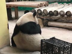 -杭州野生动物世界