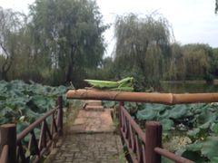 iphone_upload_pic-丝绸小镇荻港古村