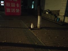 -北京信息科技大学(小营校区)