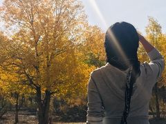 -金塔沙漠胡杨林景区