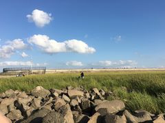 -南汇嘴观海公园