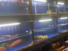 -一德轩·闽.粤料理(福州广场店)