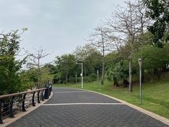 -深圳湾公园(南山区)