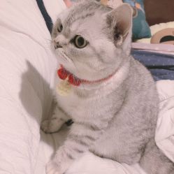 -哈妮儿童摄影(德清店)
