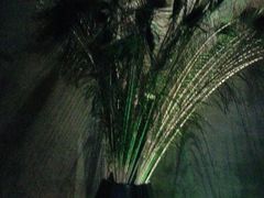 -观唐足道SPA养生会馆(南湖店)