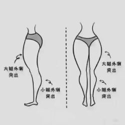 -香薇妮丝·定制减肥·身材管理