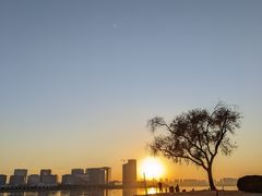 -北龙湖湿地公园