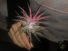 -三旗百汇商品城