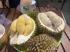-榴莲BB 四季果园