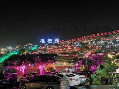 -枇杷园食为鲜火锅(南山店)