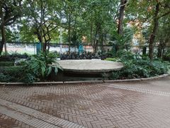 -晓港公园