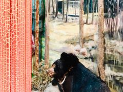 -北京动物园-畅观楼