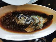 -碧丽宫大酒店(召稼楼店)