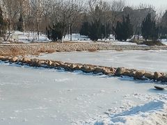 -绿岛公园(滨海新区)