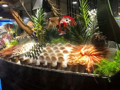 -喜庭海鲜自助(来福士店)