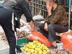 -楠溪江风景名胜区