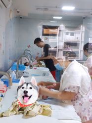 -大美母婴月子中心(馨乐庭店)