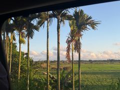 -潭门港海鲜大排档(琼海店)