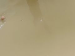 -100蛋泥浆浴