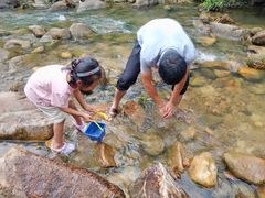 -广州白江湖森林公园
