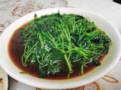 -阿马土菜馆