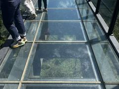 -黄埔油麻山森林公园