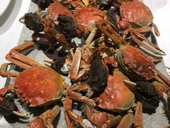 -同喜烤鸭店(光芒店)