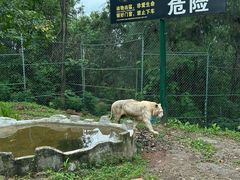 -乐和乐都主题乐园