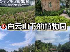 -云溪植物园
