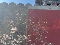 -东华门大街小区