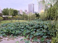 -沐仙湖湿地公园