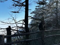 -峨眉山风景名胜区