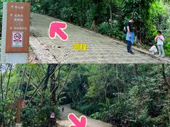 -滴水岩森林公园