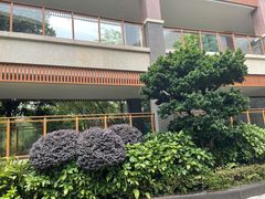 -成都安仁福朋喜来登酒店