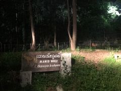 -清迈夜间动物园