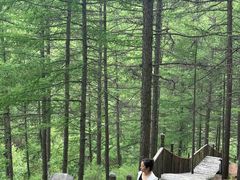 -苏木山森林公园